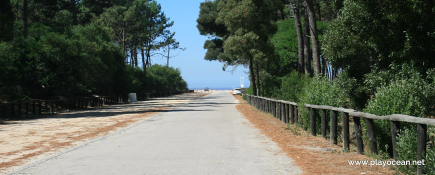 Road to Praia de São Pedro de Maceda Beach