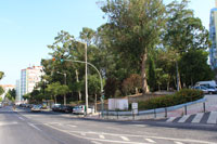 Jardim do eucaliptal de Benfica