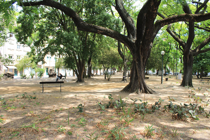 Jardim Nuno Álvares