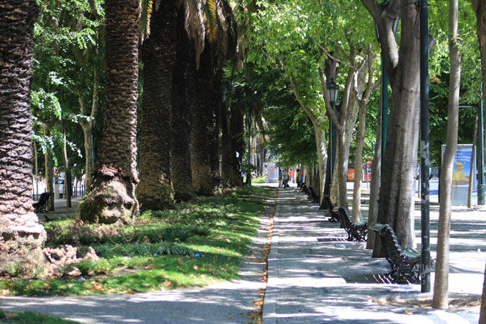 Garden of Avenida da Liberdade