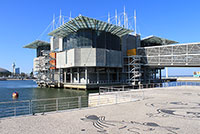 Lisbon Oceanarium